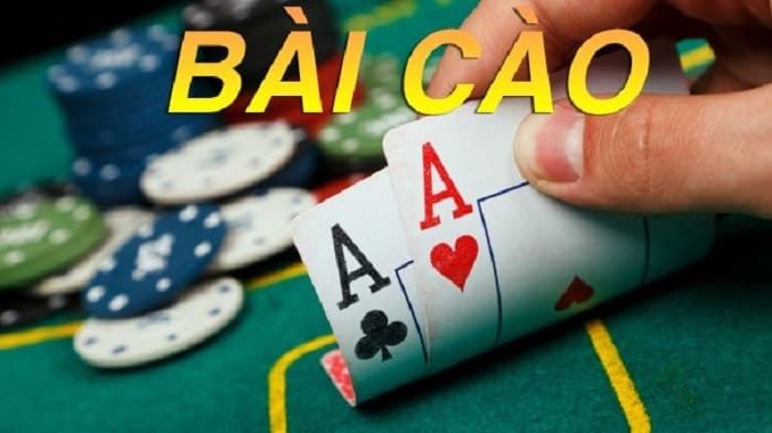 bai cao 6 la 67fd0ae2d06dc